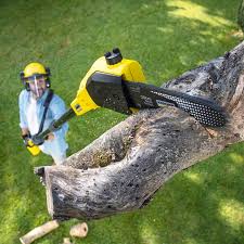 Best Leaf Removal  in Mccord, OK