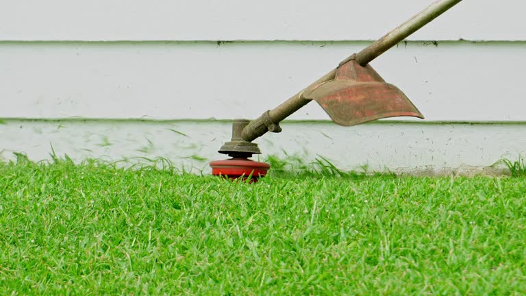 Lawn Grading and Leveling in Mccord, OK