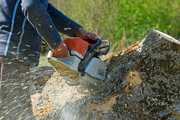 Best Soil Testing and Treatment  in Mccord, OK